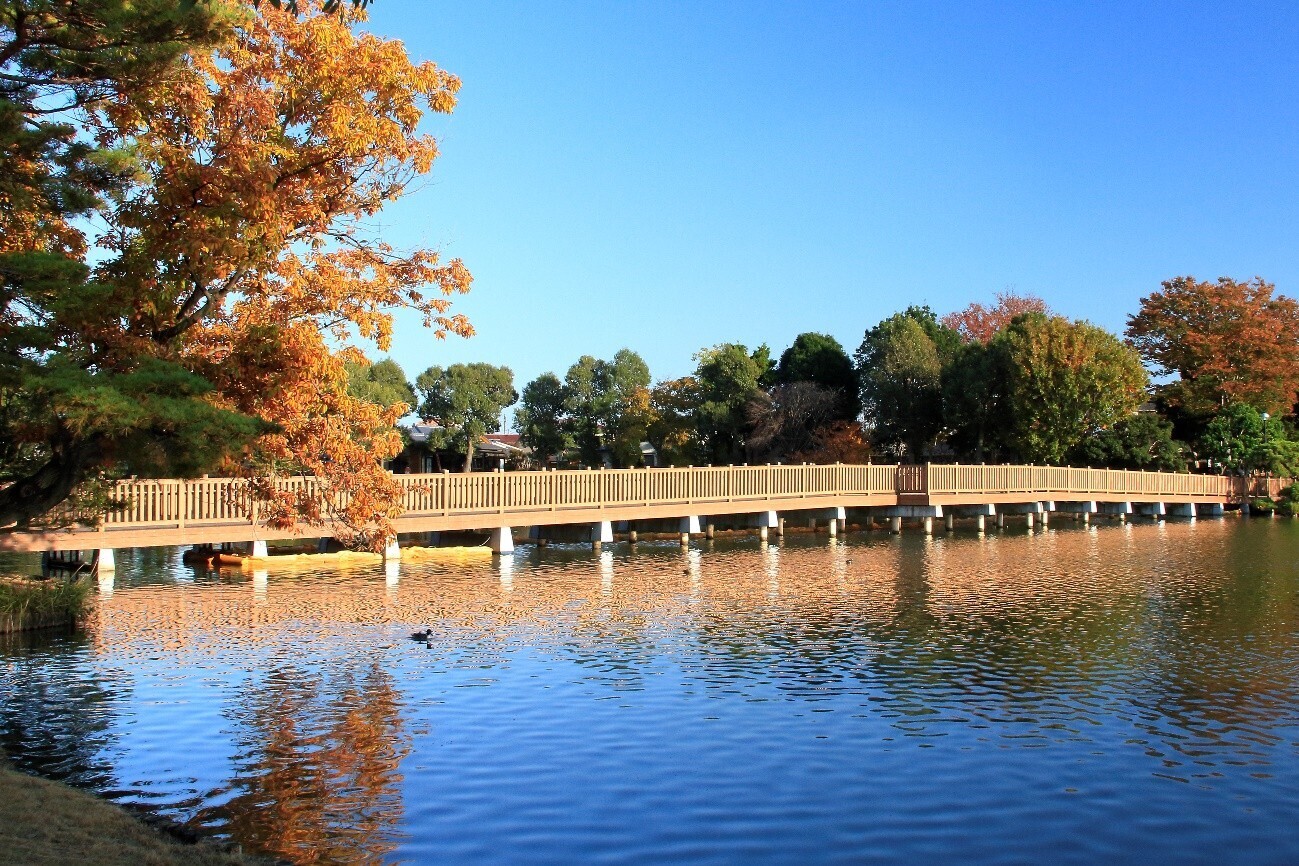 国補大塚池公園呼鳥橋架設工事の写真